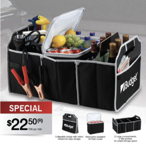 AUTO TRUNK ORGANIZER W/ REMOVABLE COOLER